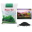 How To Set Up A Fish Tank For Beginners: 7 Easy Steps