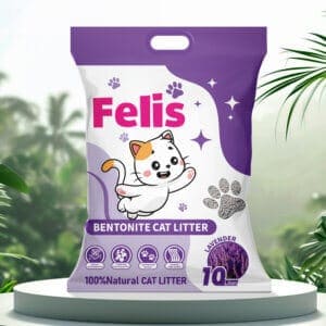 Where to Buy Cat Litter Sand in Doha, Qatar - Online & In-Store Guide