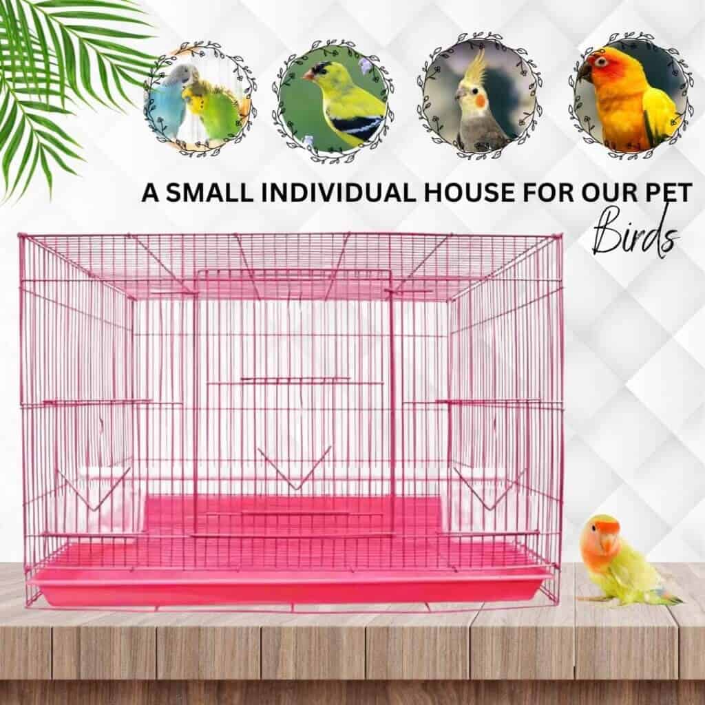 What Size Cage Does A Cockatiel Actually Need: A Practical Guide