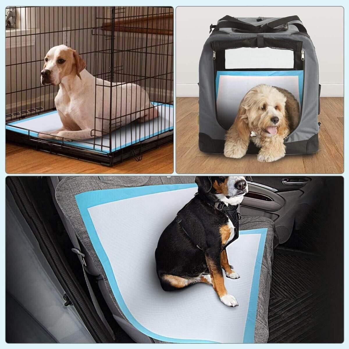 Training Pads for Cats & Dogs – 20pcs (XL Size: 60x90cm) - Image 2