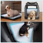 Training Pads for Cats & Dogs – 20pcs (XL Size: 60x90cm) - Image 2