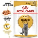 ROYAL CANIN BRITISH SHORTHAIR BREED NUTRITION FELINE (WET FOOD-POUCHES) 12X85G,  | Best Food for British Shorthair Cats