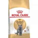 ROYAL CANIN BRITISH SHORTHAIR ADULT FELINE BREED NUTRITION  4 KG | Best Food for British Shorthair Cats