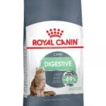 Royal Canin Digestive Care Dry Cat Food Feline Care Nutrition, 2KG | Best Food for Adult Cats