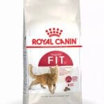 ROYAL CANIN FIT 32 FELINE HEALTH NUTRITION 2 KG | Best Food for Adult Cats