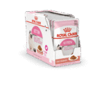 Royal Canin Kitten Gravy Wet Food Pouches – Feline Health Nutrition (12 × 85g)