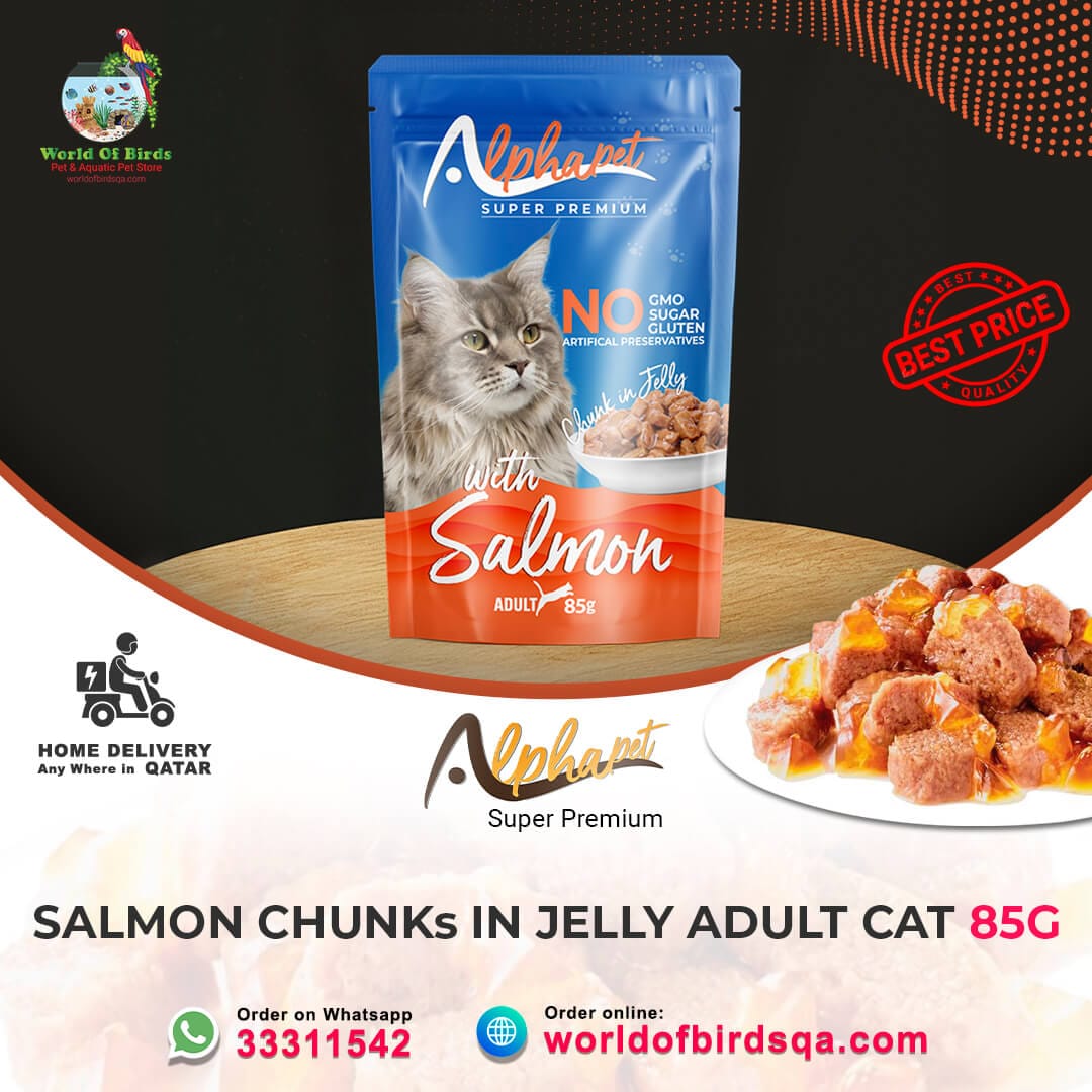 10 ALPHA PET ADULT CAT SALMON IN JELLY 85 G - pouch Alpha Pet Super Premium Adult Cat Salmon Chunk in Jelly – 85g Pouch Cat Food | Premium Wet Food from Turkey - Image 1