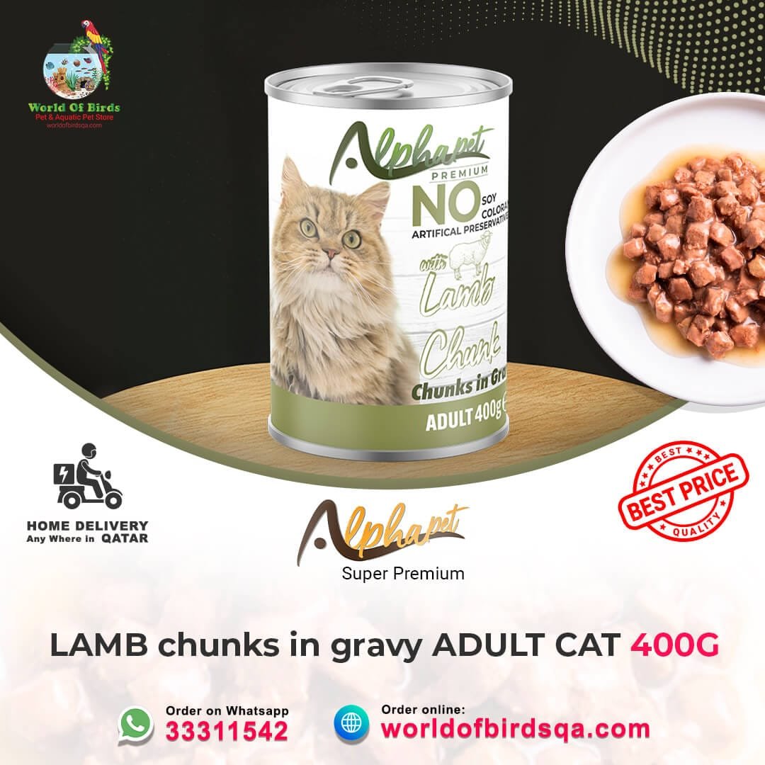 15 ALPHA PET CAT WITH LAMB IN GRAVY 400 G Alpha Pet Premium Cat with Lamb in Gravy – 400g Canned Wet Cat Food | Nutritious Wet Food from Turkey - Image 1