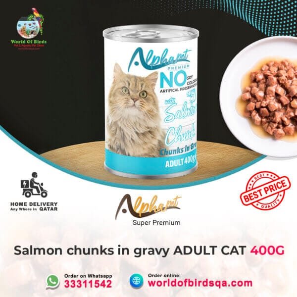 Alpha Pet Premium Cat with Salmon in Gravy – 400g Canned Wet Cat Food | Nutritious Meal from Turkey