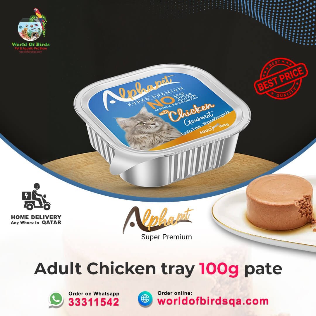 26 ALPHA PET CHICKEN PATE GF ADULT CATS ALU TRAY 100G Alpha Pet Super Premium Chicken Pâté – 100g Aluminium Tray Wet Food for Adult Cats | Premium Meal from Turkey - Image 1