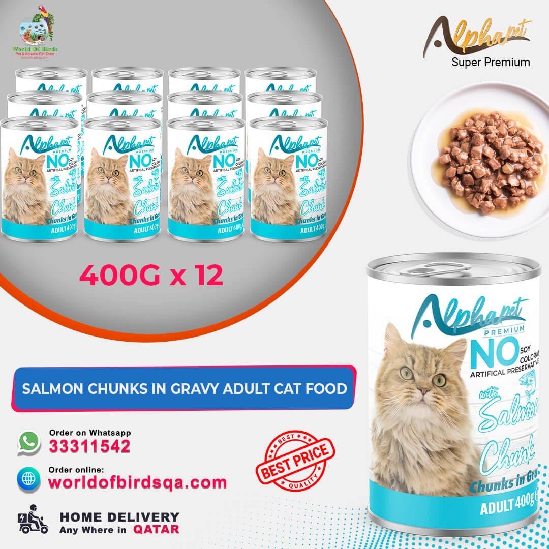 38 ALPHA PET CAT WITH SALMON IN GRAVY 400 G x12 Alpha Pet Premium Cat with Salmon Chunk in Gravy – 400g Wet Cat Food (Pack of 12) | Omega-3 Rich Meal from Turkey - Image 1