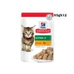 Hill’s Science Plan Tender Chunks in Gravy Kitten Chicken – 85g x12 Pouches | Wet Food for Healthy Kitten Growth