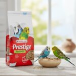 Versele-Laga Prestige Budgies Bird Food – 1kg | Premium Seed Mix for Budgerigars