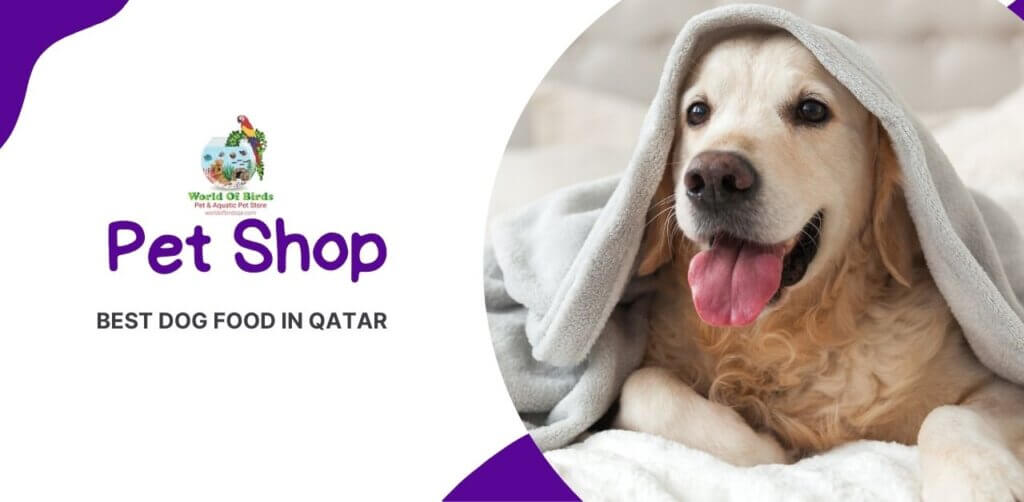 Top 5 Dog Food in Qatar
