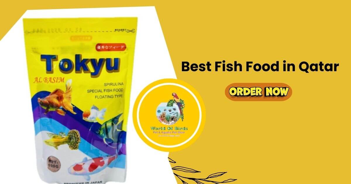 Top 7 Fish Food in Qatar