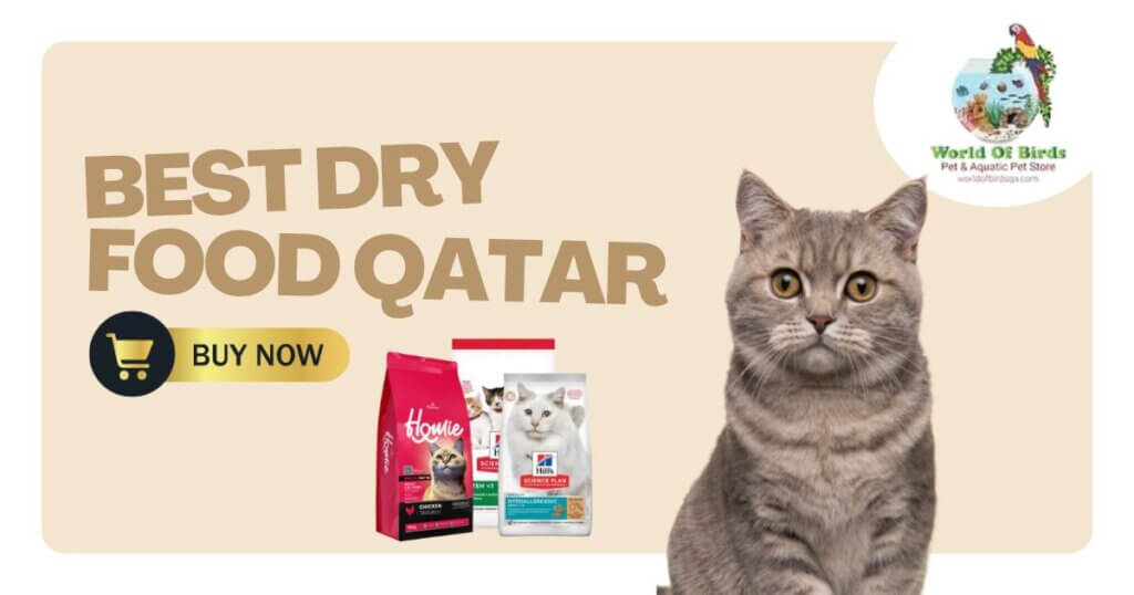dry cat food Qatar