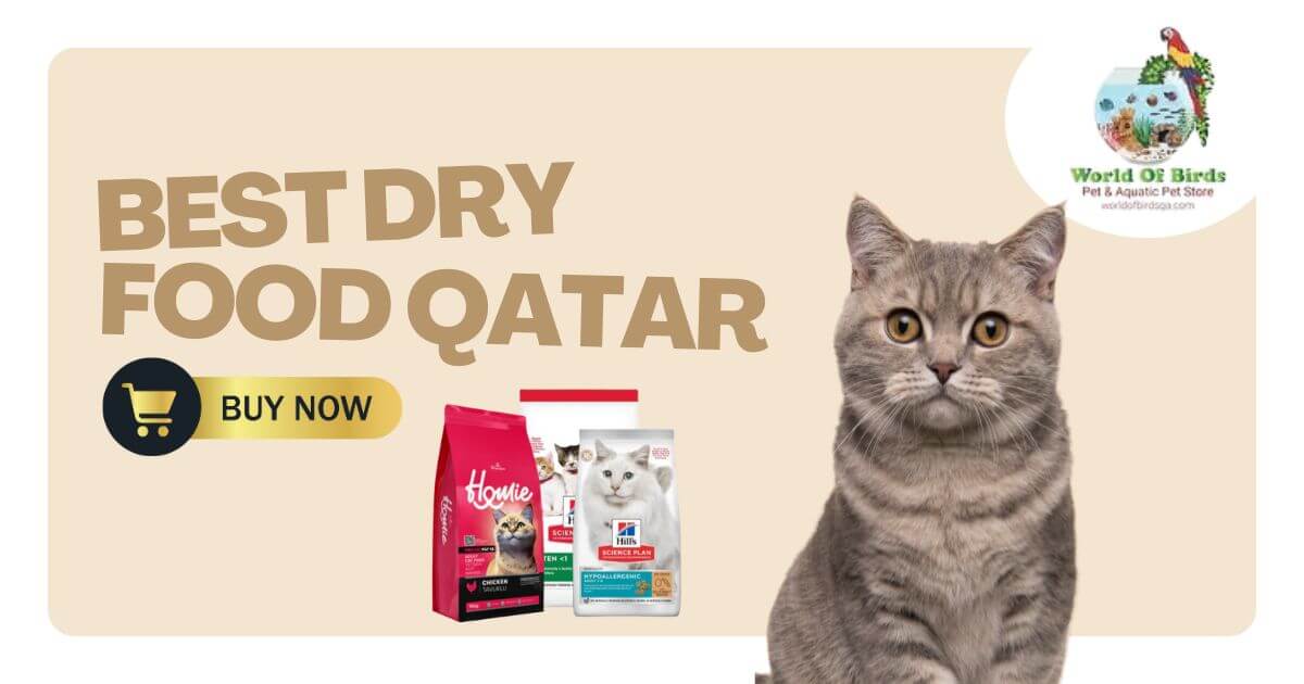 dry cat food Qatar