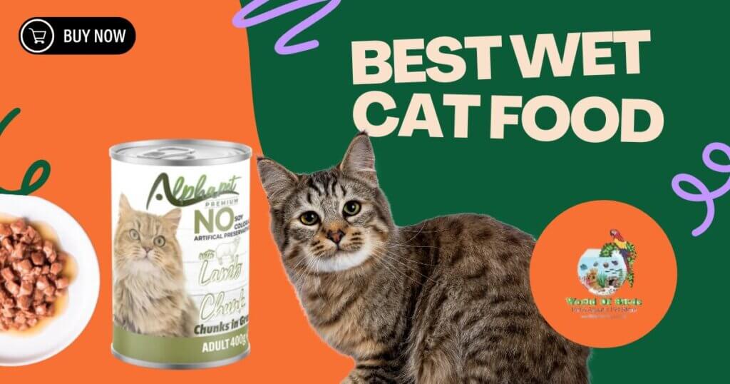 wet cat food Qatar
