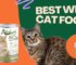 wet cat food Qatar