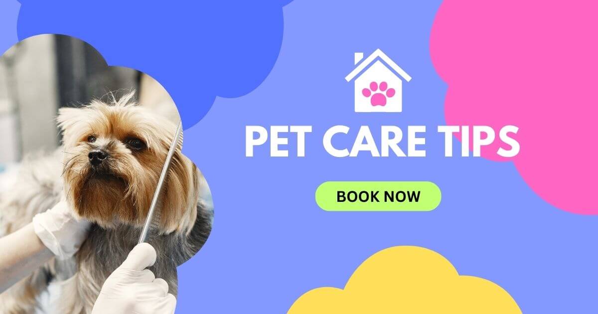 Pet care tips Qatar