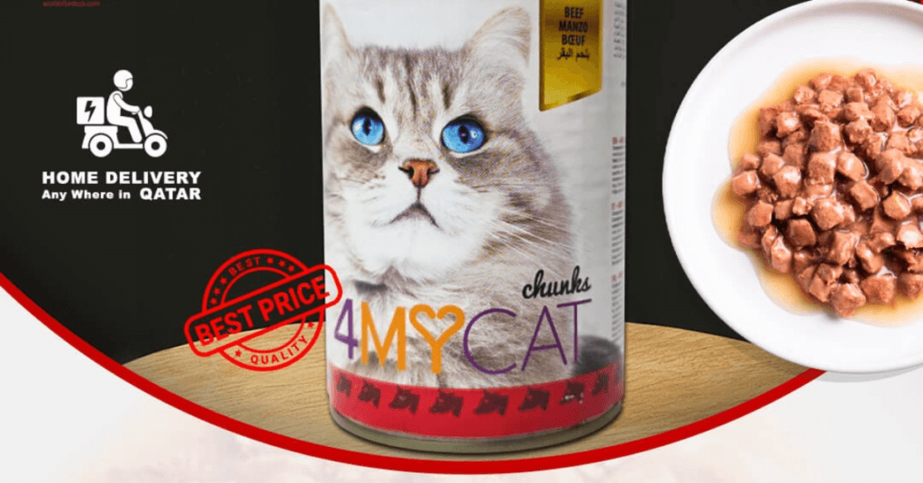 Top 10 Cat Food In Qatar 2026