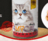 Top 10 Cat Food In Qatar 2026