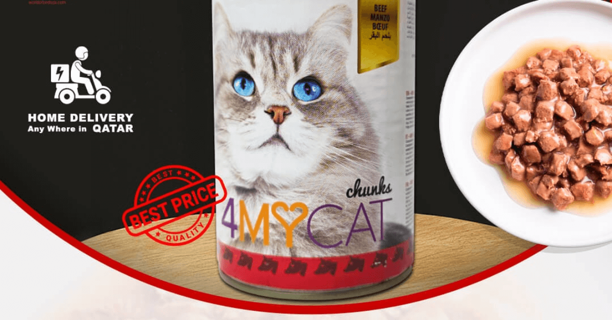 Top 10 Cat Food In Qatar 2026