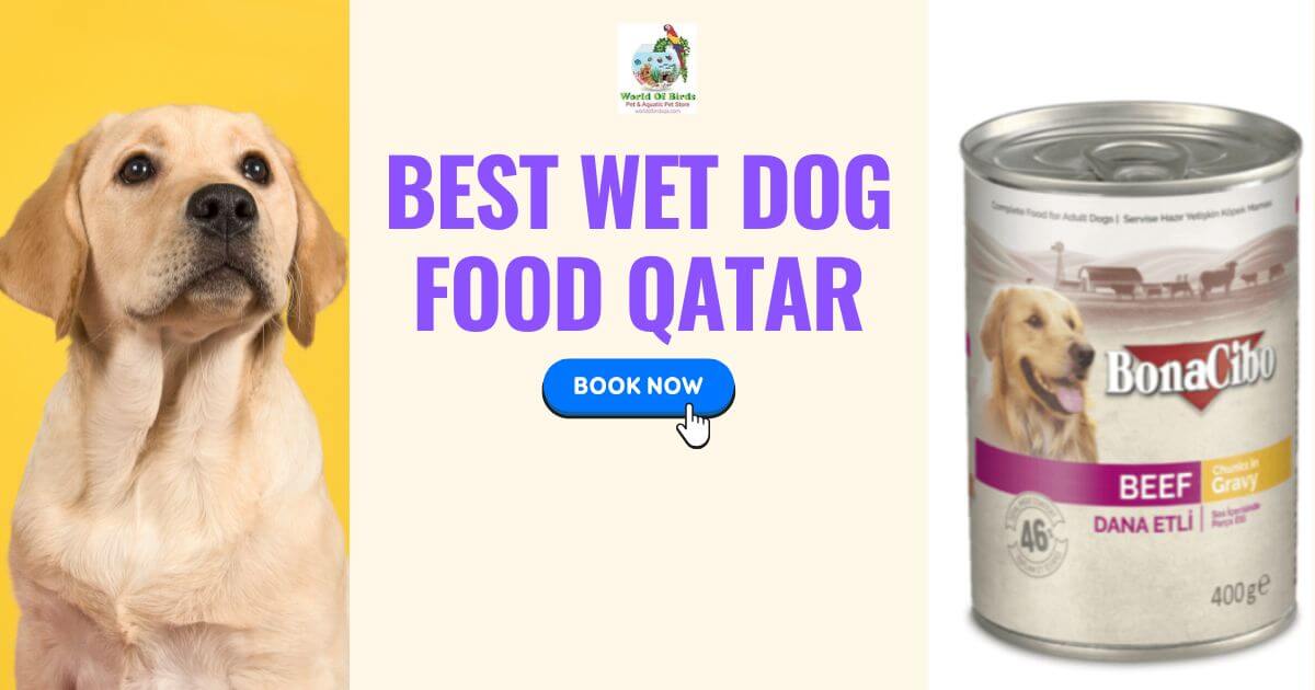 best wet dog food Qatar