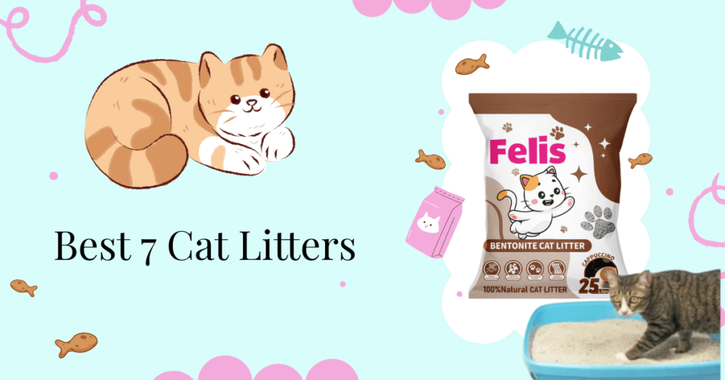 Top 7 Cat Litters in Qatar
