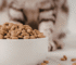 Is Dry Food Bad for Cats