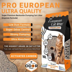 Where to Buy Cat Litter Sand in Doha, Qatar - Online & In-Store Guide