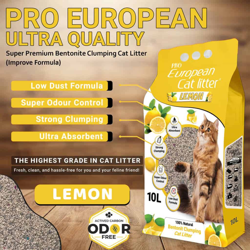 Best Cat Litter Sand In Qatar 2026