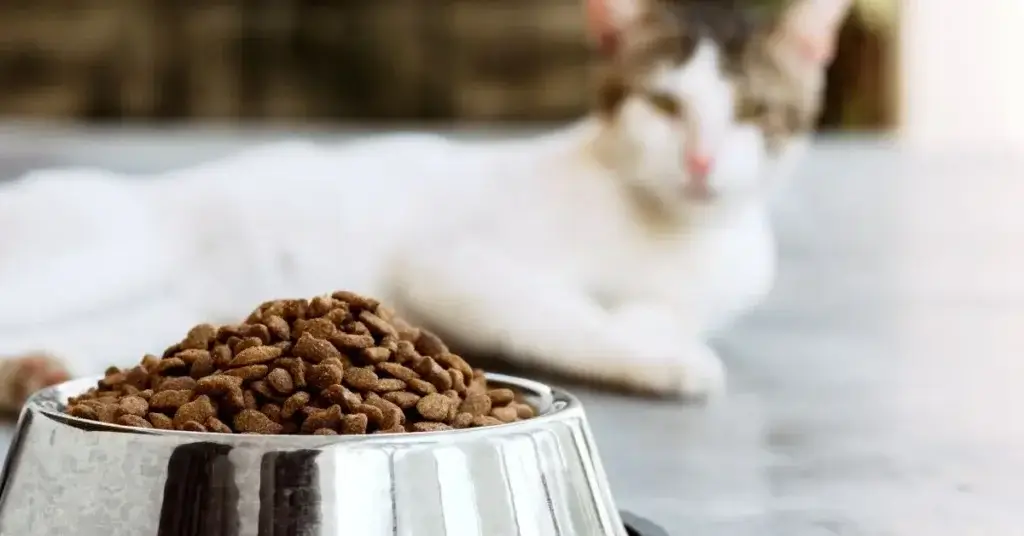Pet Food in Qatar: Simple Guide to Healthy Nutrition for Pets