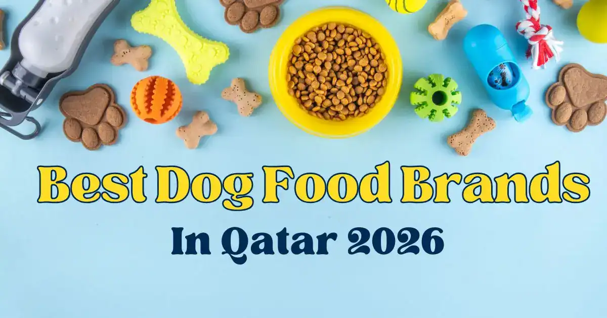 Best Dog Food Brands In Qatar 2026