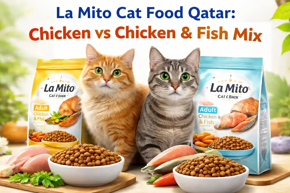La Mito Cat Food Qatar: Chicken Vs Chicken & Fish Mix