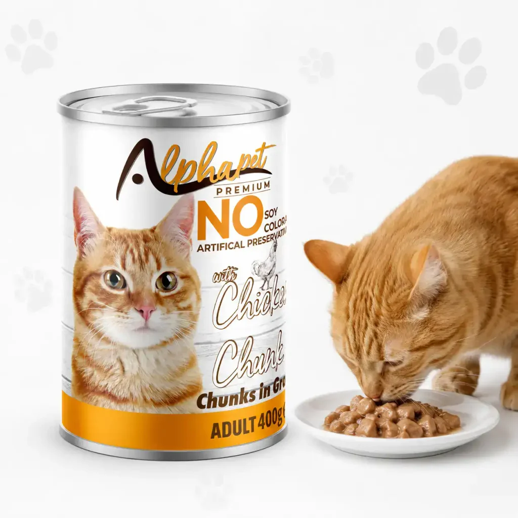 Best Pet Supplies In Qatar-cat food