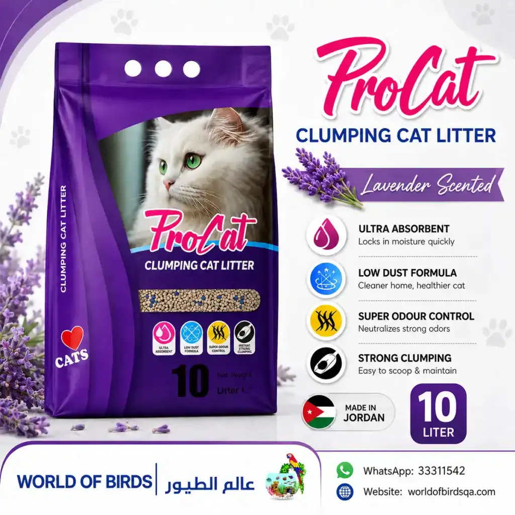 How Often Should You Change Cat Litter in Qatar's Hot Climate?