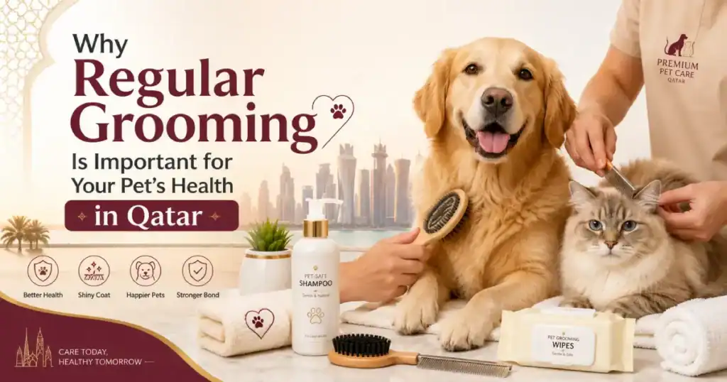 Importance of pet grooming