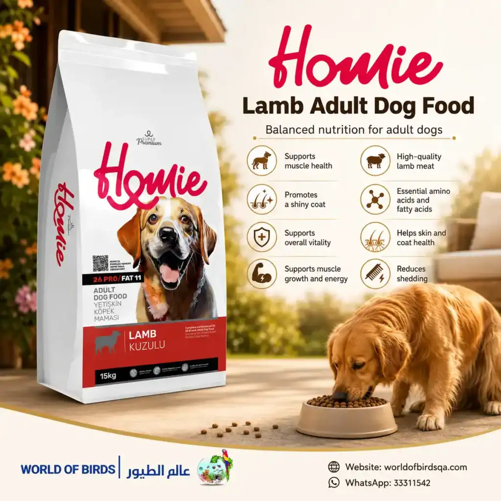 Healthy Breakfast Ideas for Your Dog in Qatar