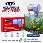 Why Fish Die in Aquariums : 10 Real Reasons and How to Stop It