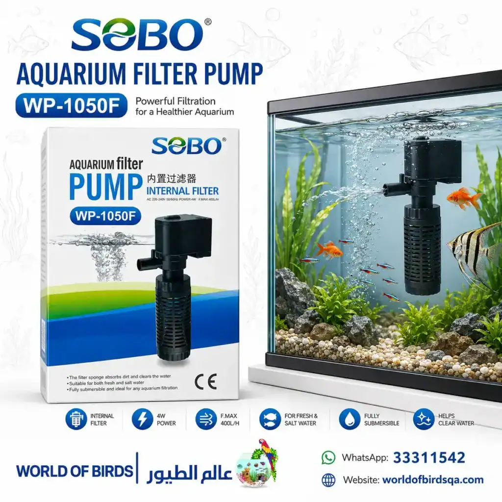 Aquarium Water Quality Qatar: Complete Water Care Guide