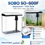Aquarium Tank Qatar: Best Beginner Tanks in 2026
