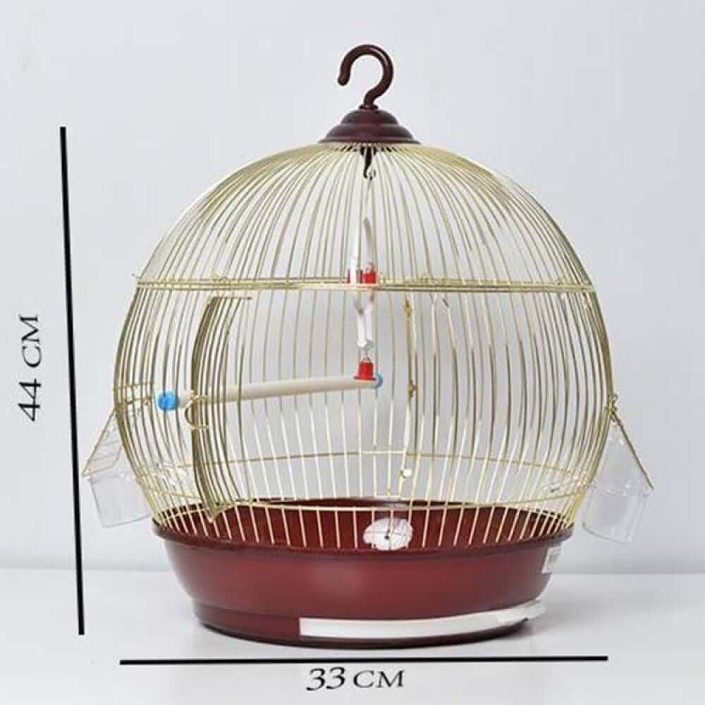 Bird Cage Qatar: Best Cages for Budgies & Parrots