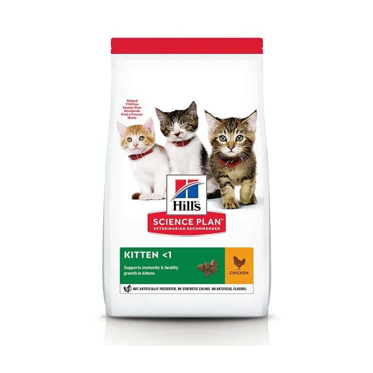 Kitten Food Qatar 2026: Best Wet, Dry & Feeding Guide