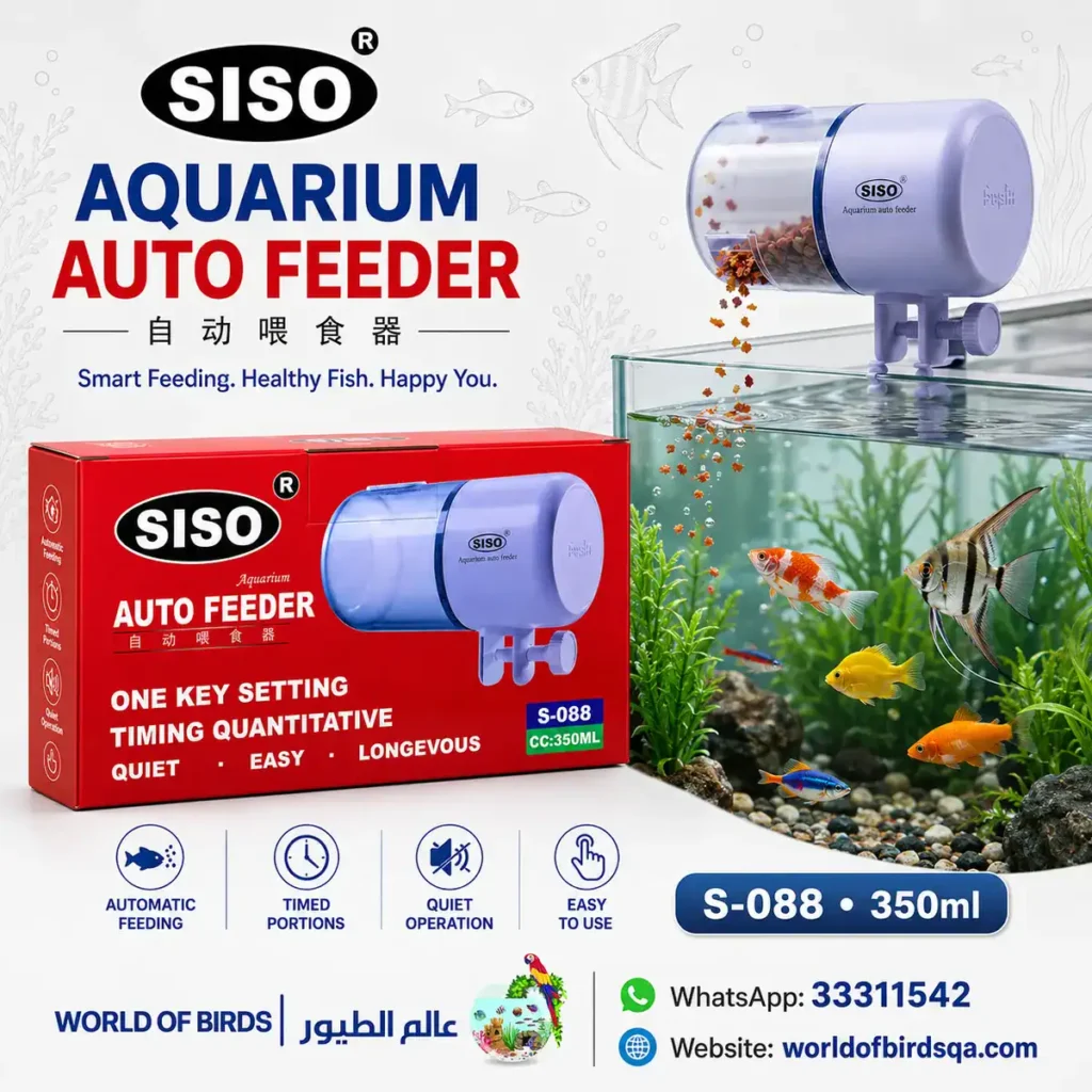 Automatic Fish Feeder Qatar: Best Option for Daily & Vacation Feeding