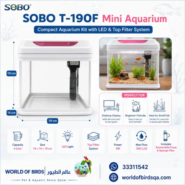 SOBO T-190F 4L Mini Aquarium Kit- Best Aquarium Tanks in Qatar for Beginners
