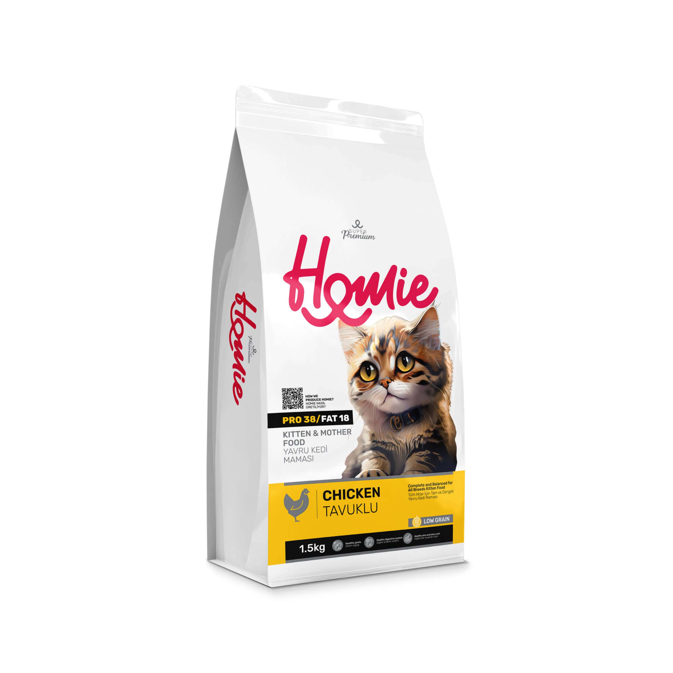 Kitten Food Qatar 2026: Best Wet, Dry & Feeding Guide