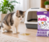 Cat Peeing Outside the Litter Box: Causes & Solutions