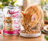 AlphaPet Cat Food Qatar: Wet Food Guide for Cat Owners
