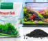 Aquarium Soil in Qatar: How Much Amazon Soil Do You Need for Your Planted Tank?